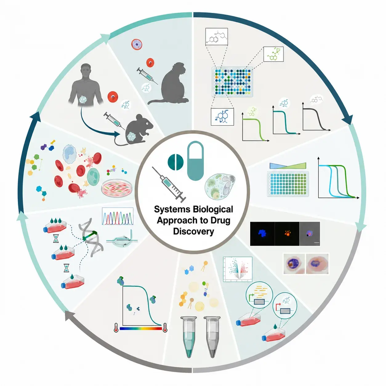 Circular schematic of a systems-biology drug discovery pipeline, from compound screening and dose-response curves through culture, omics and animal models