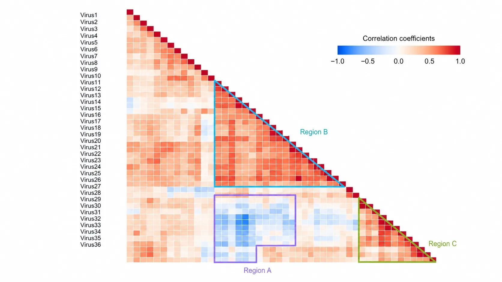 Triangular correlation matrix of thirty-six viruses with three highlighted co-occurrence regions